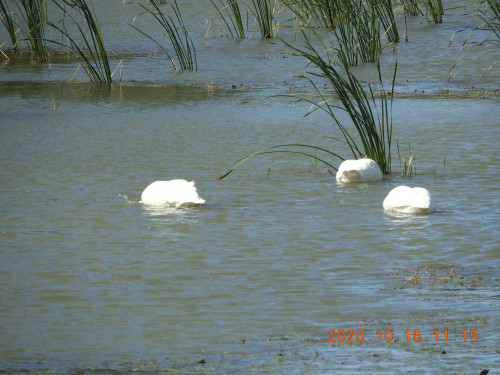 DSCN9873.JPG