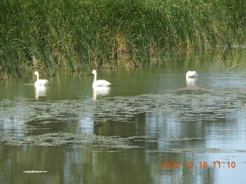 DSCN9868.JPG