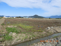 DSCN9866.JPG