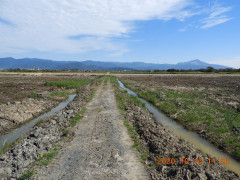DSCN9865.JPG