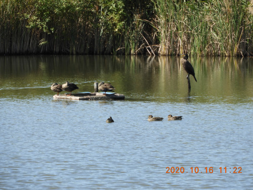 DSCN9880.JPG