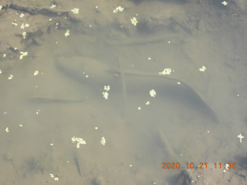 DSCN9932.JPG