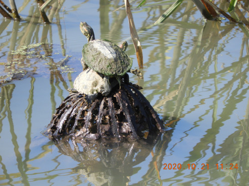 DSCN9929.JPG