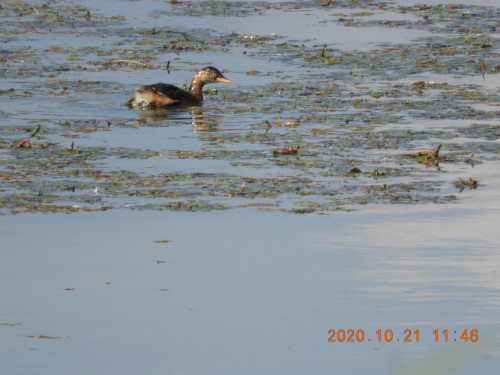 DSCN9935.JPG