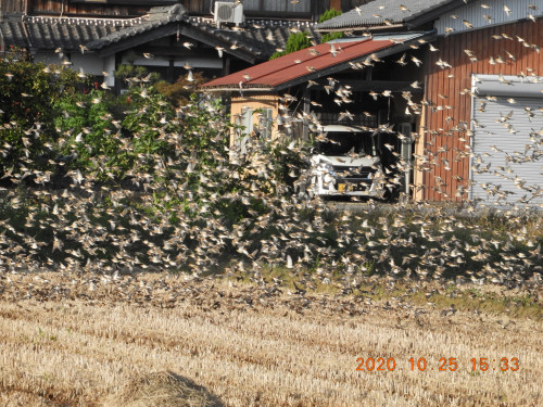 DSCN0090.JPG