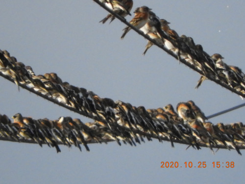 DSCN0101.JPG