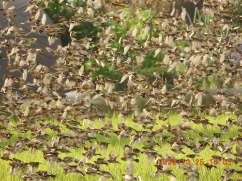 DSCN0230.JPG