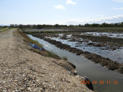 DSCN0321.JPG