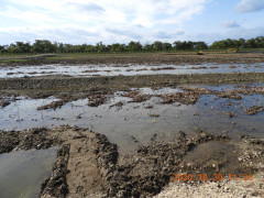 DSCN0322.JPG