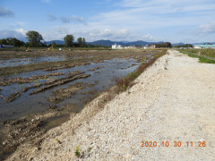 DSCN0323.JPG
