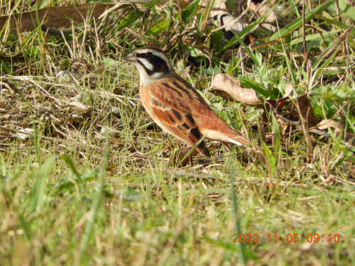 DSCN0392.JPG