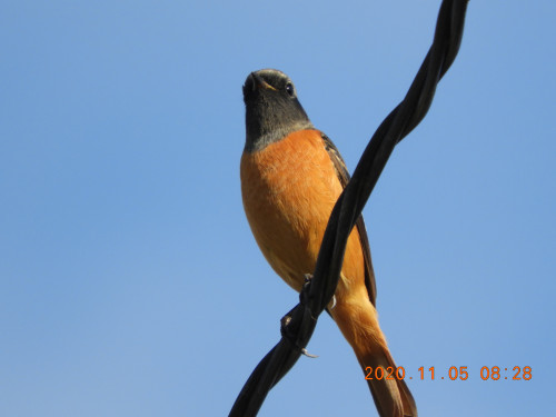 DSCN0370.JPG