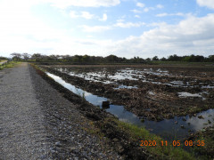 DSCN0374.JPG
