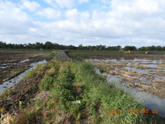 DSCN0375.JPG