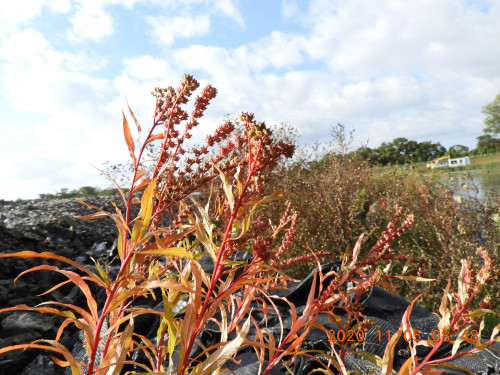 DSCN0387.JPG