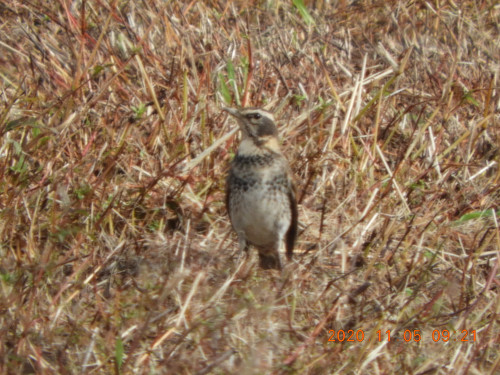 DSCN0407.JPG