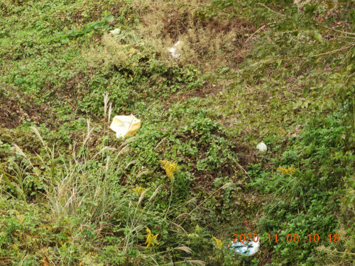 DSCN0425.JPG