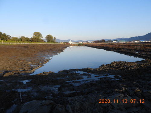 DSCN0451.JPG