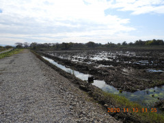 DSCN0463.JPG