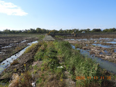 DSCN0464.JPG