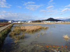 DSCN0574.JPG