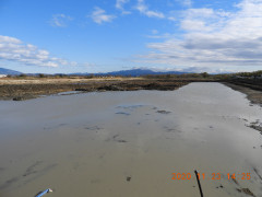 DSCN0576.JPG