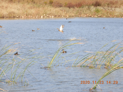 DSCN0590.JPG