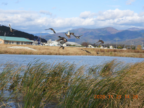 DSCN0587.JPG