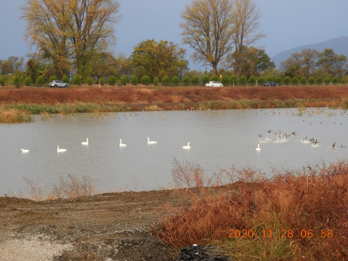 DSCN0626.JPG