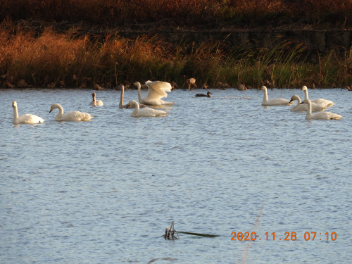 DSCN0638.JPG