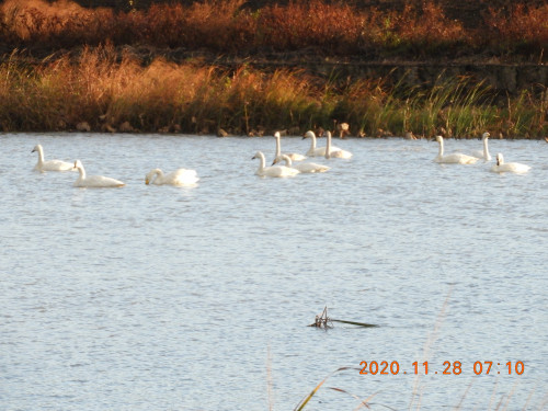 DSCN0641.JPG
