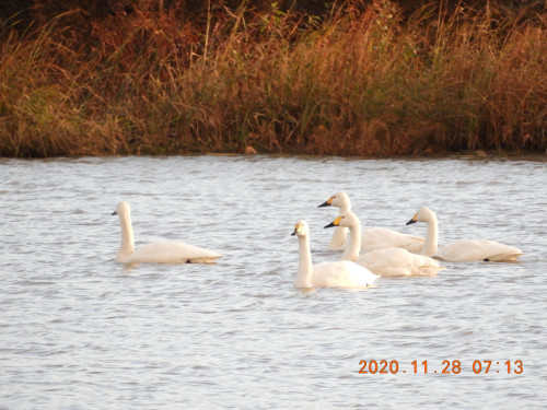 DSCN0643.JPG