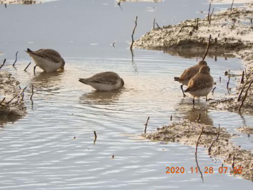 DSCN0630.JPG