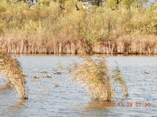 DSCN0659.JPG