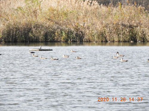 DSCN0661.JPG