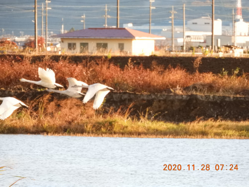 DSCN0648.JPG
