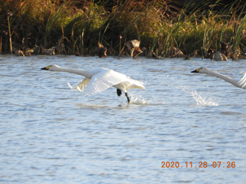 DSCN0654.JPG