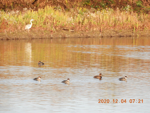 DSCN0698.JPG
