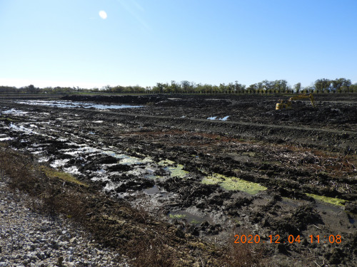 DSCN0721.JPG