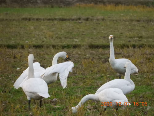 DSCN0753.JPG