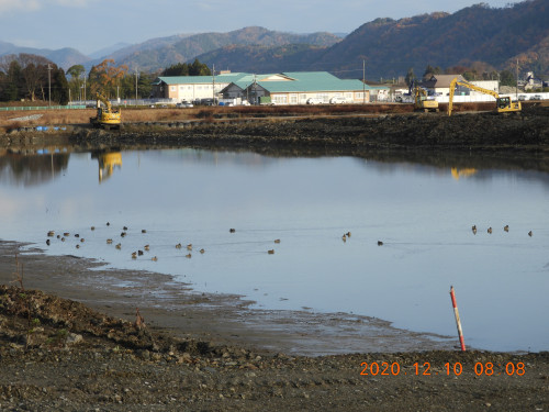 DSCN0859.JPG