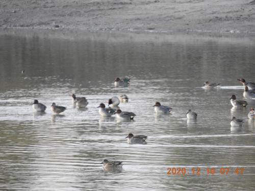 DSCN0848.JPG