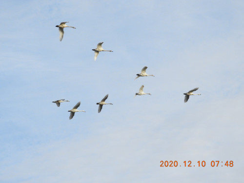 DSCN0850.JPG