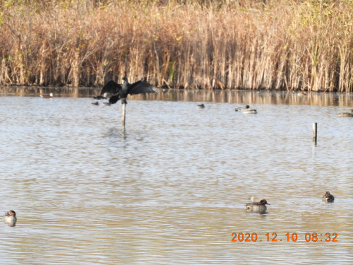 DSCN0868.JPG