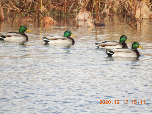 DSCN8868.JPG