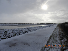 DSCN0889.JPG