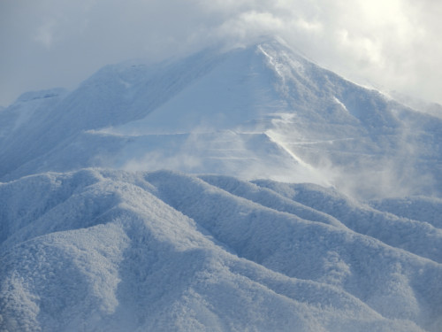DSCN0905.JPG