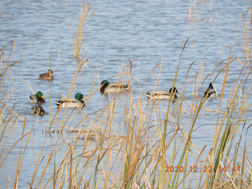 DSCN8945.JPG