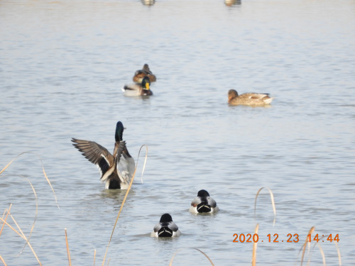 DSCN8948.JPG