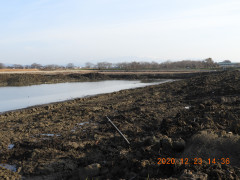 DSCN8943.JPG